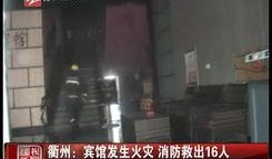 金乡小夏最新爆料新闻视频,最新爆料新闻视频深度解析